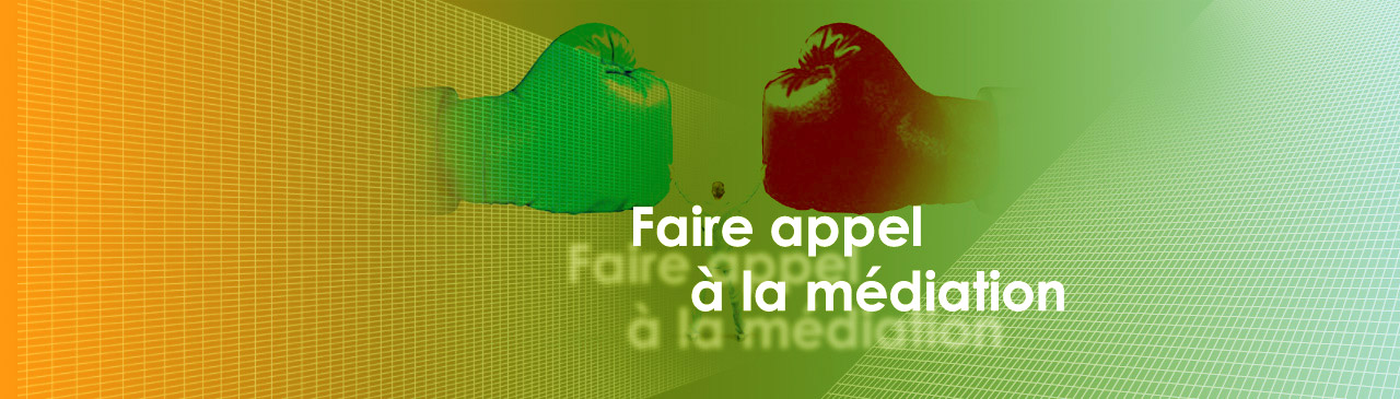 Appel-à-la-médiation